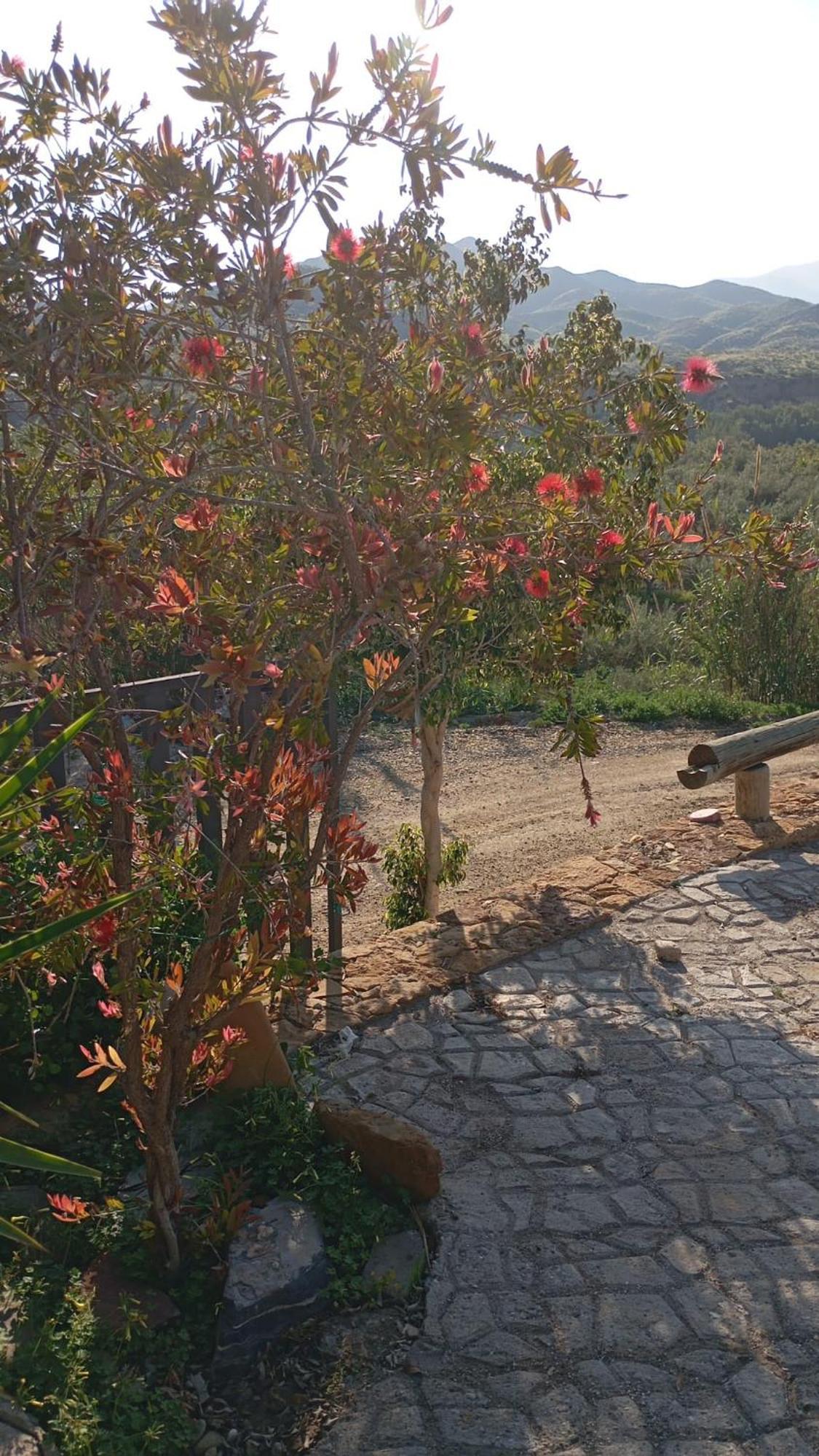 Cortijo Rural Molino El Tarahal Con Piscina Y Zonas Compartidas 외부 사진