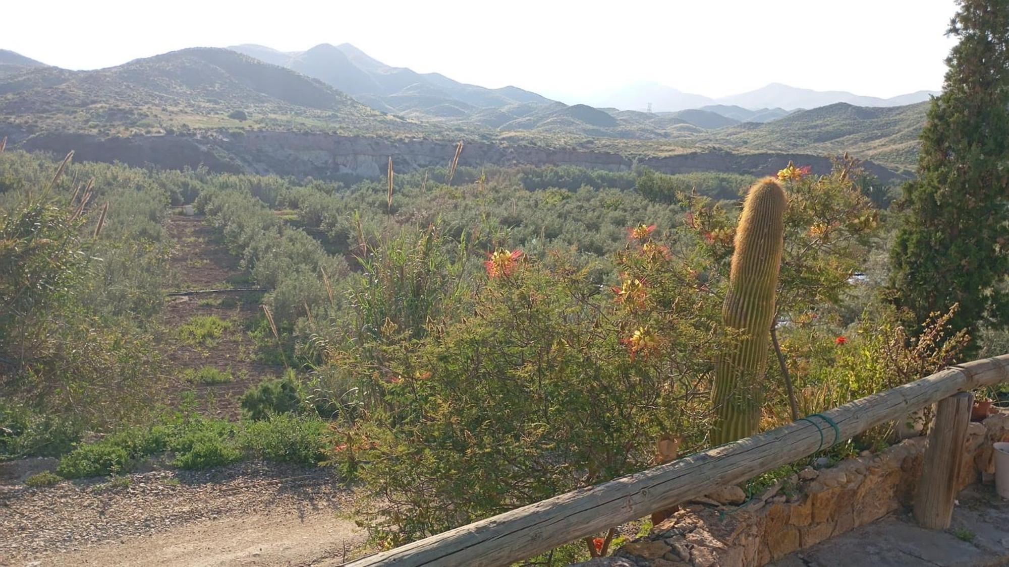Cortijo Rural Molino El Tarahal Con Piscina Y Zonas Compartidas 외부 사진